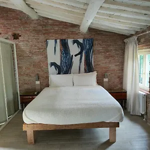 Inside The *** Lucca